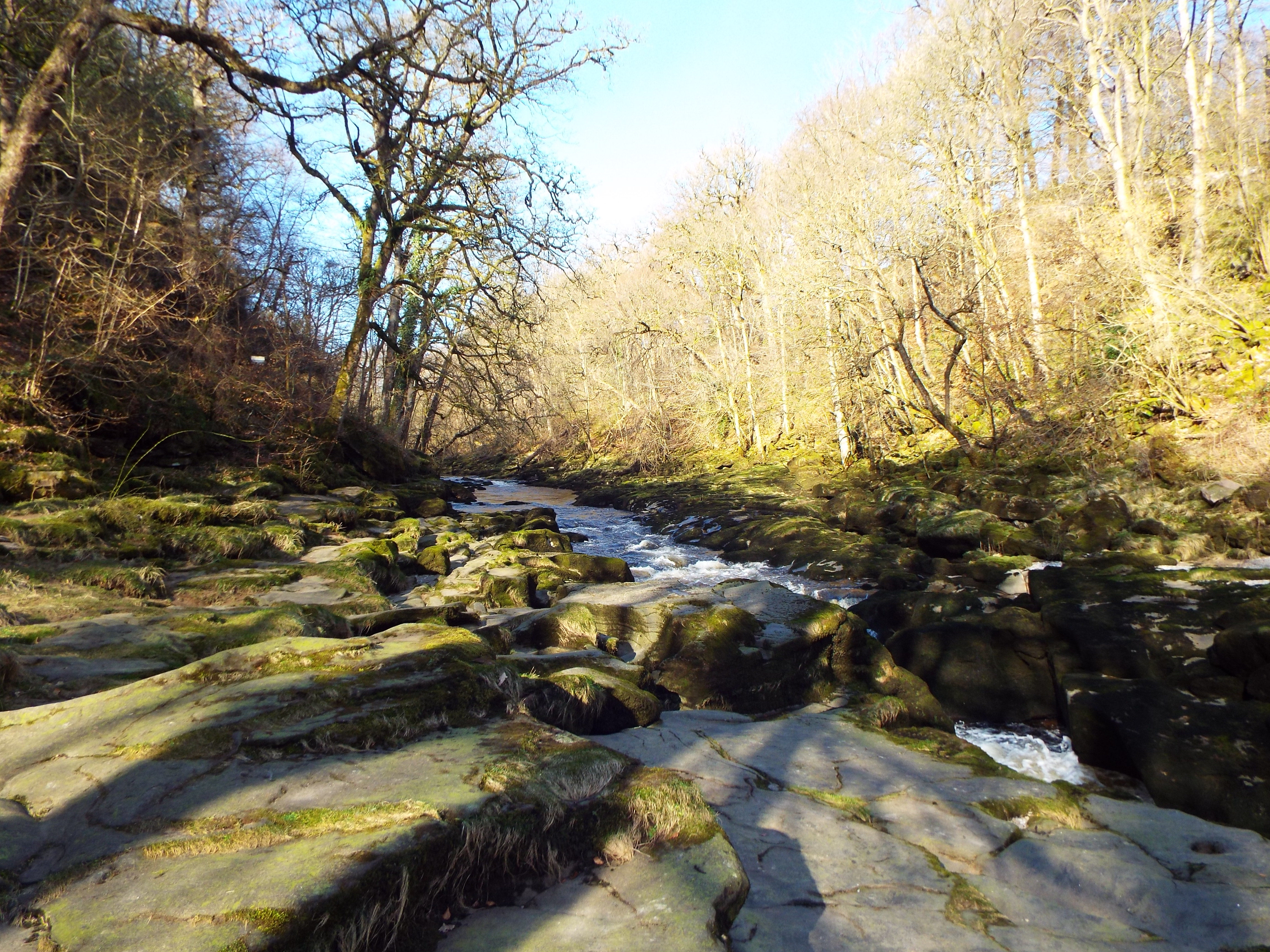 The Strid